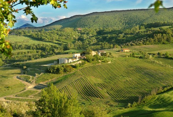Salcheto Winery, Toscana