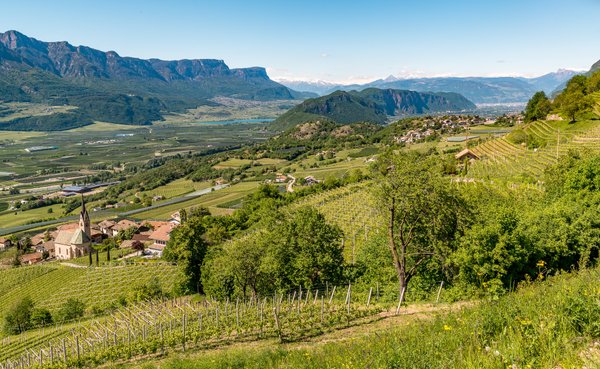 Montan, Glen, Südtirol Wein online Vinothek Munzert